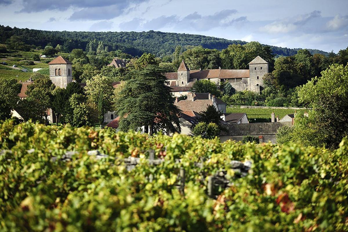 Le Richebourg - Charmant T2 Cosy, Tout Confort Gevrey-Chambertin Exterior foto